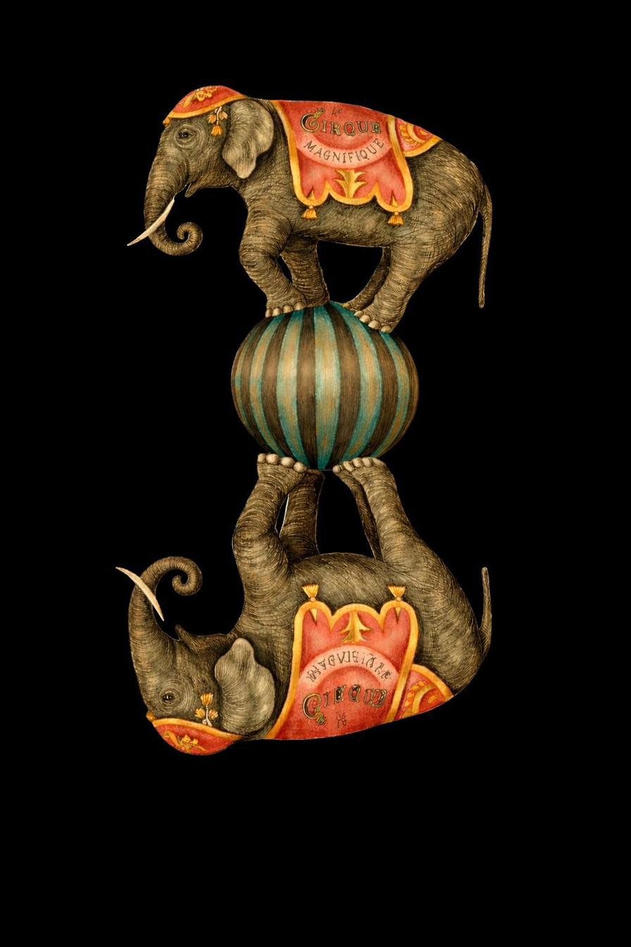 Ilustração vintage de elefante de circo sobre uma bola